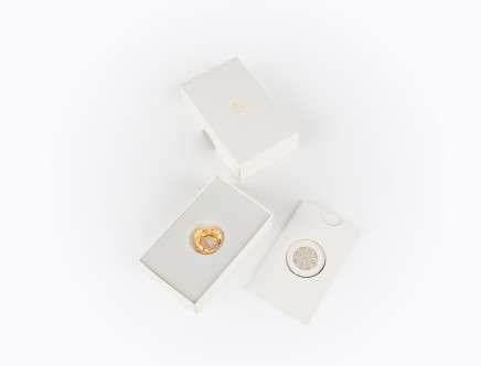 Robert BRACKETT & Laura COOMBS, "ARNICA, collection I."