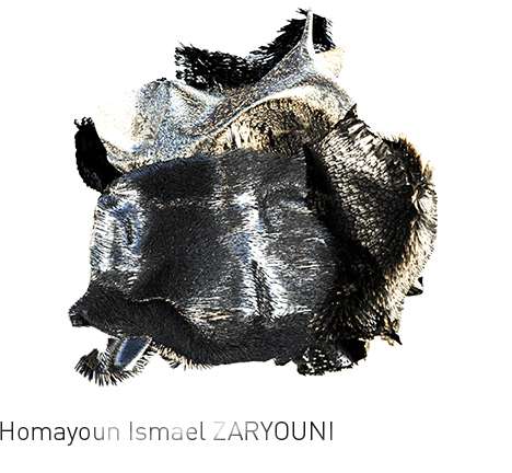  Homayoun Ismael ZARYOUNI, "SKIN; HIDES; MASS."